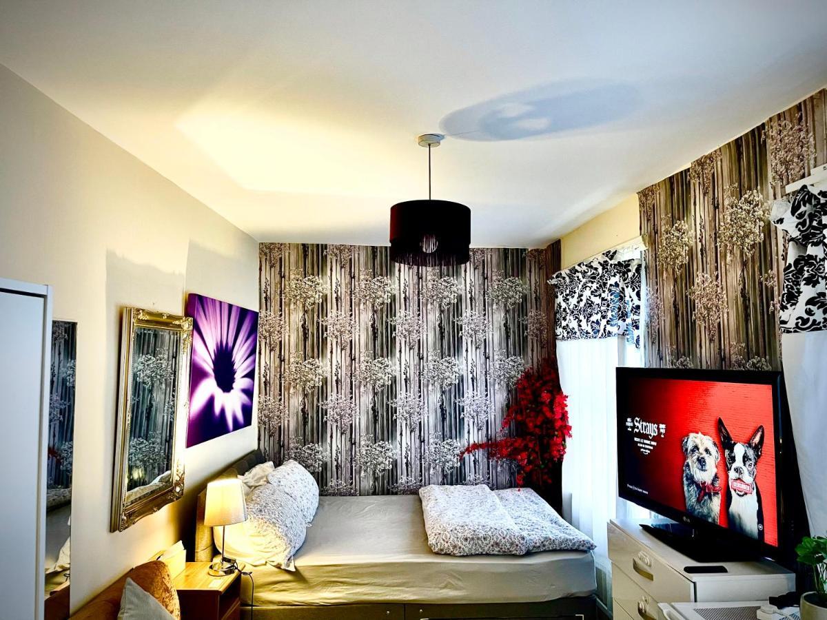 Comfy Double Bedroom With A Private Toilet Gazde/Camere de închiriat *